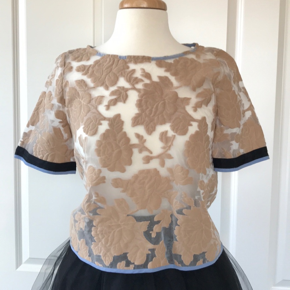 Sheer floral top